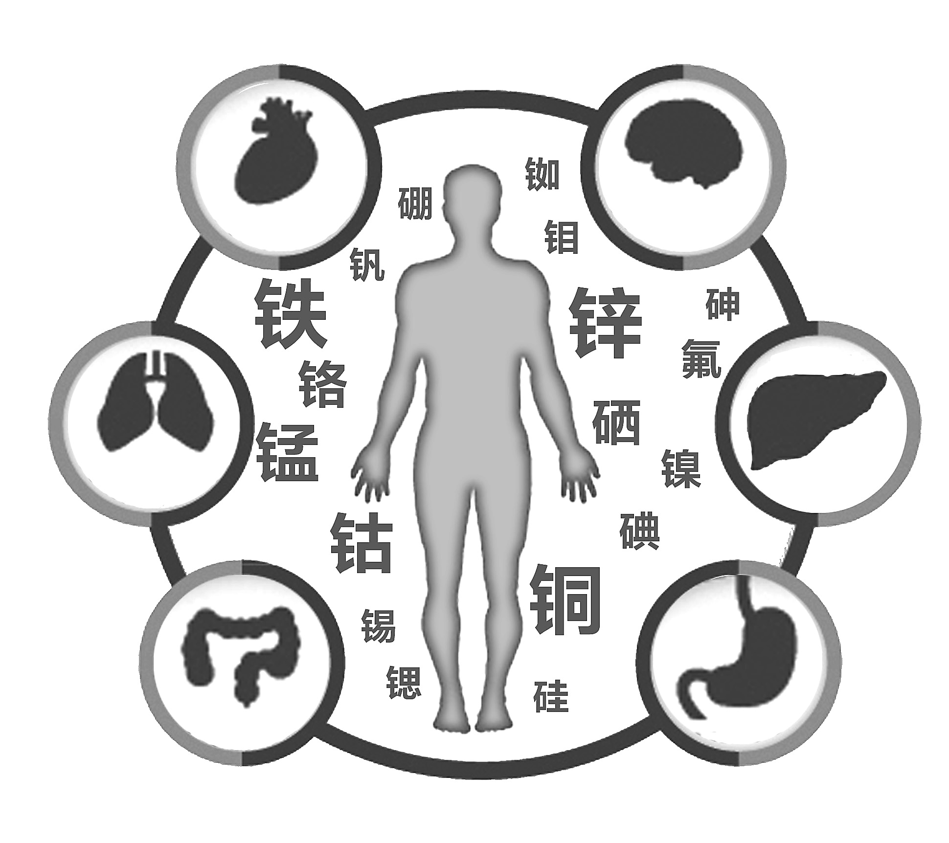 91香蕉视频IOS在线检查有必要吗