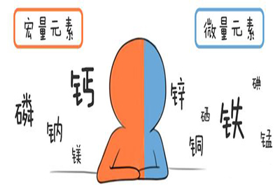 全自动91香蕉视频IOS在线介绍缺少微量元素的危害