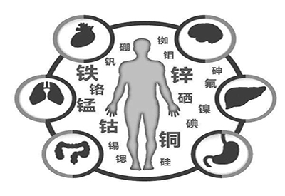 全自动91香蕉视频精品厂家微量元素在人体中起到哪些作用